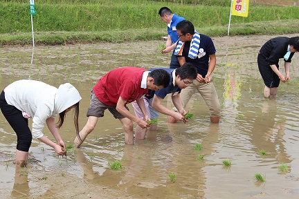 田植えツアー.jpg