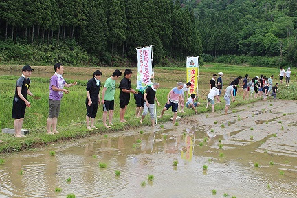 田植えツアー2.jpg