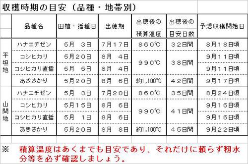 適期刈り取り.JPG