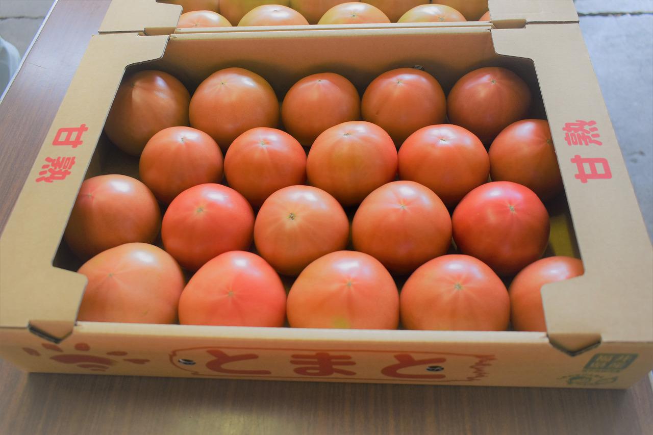 http://www.ja-echizentakefu.or.jp/blog/tomato2.jpg
