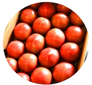 tomatomato.jpg