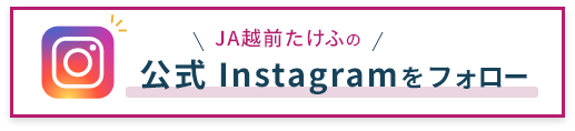 インスタグラム