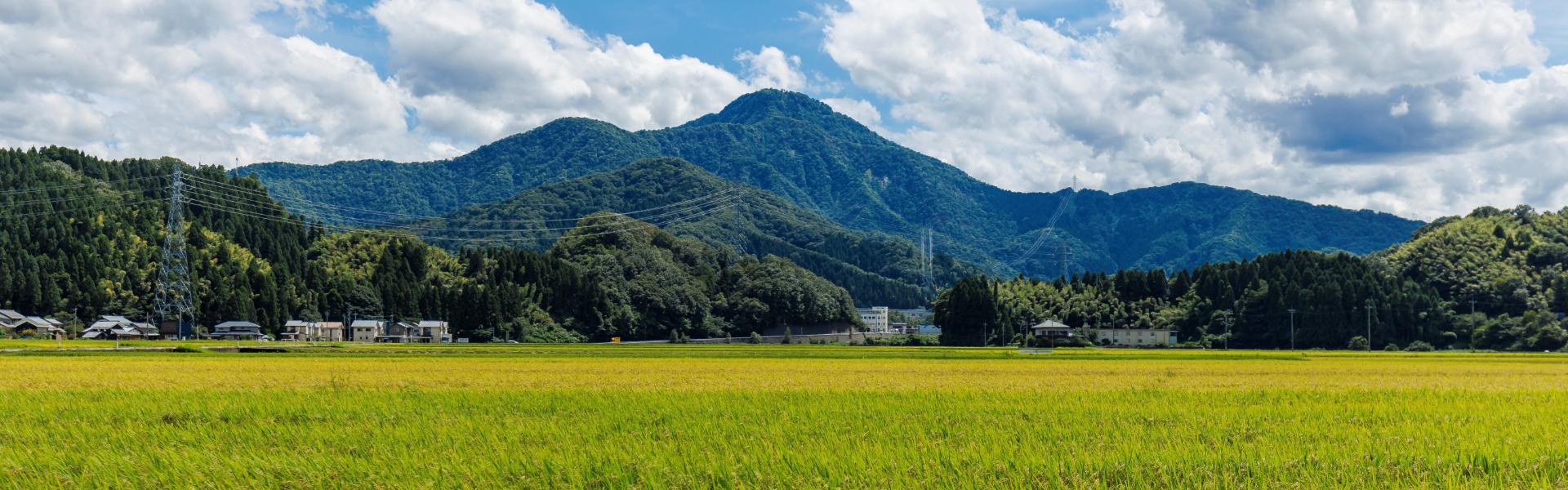 越前 たけ ふ 農業 協同 組合