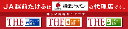 JA越前たけふは損保ジャパン日本興亜の代理店です。THEクルマの保険／THEケガの保険／THEすまいの保険