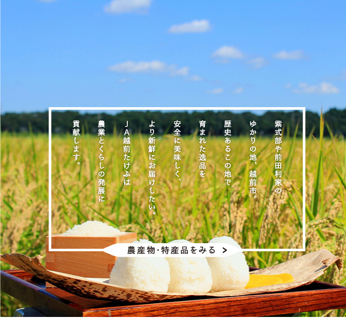 JA越前たけふ (越前たけふ農業協同組合)